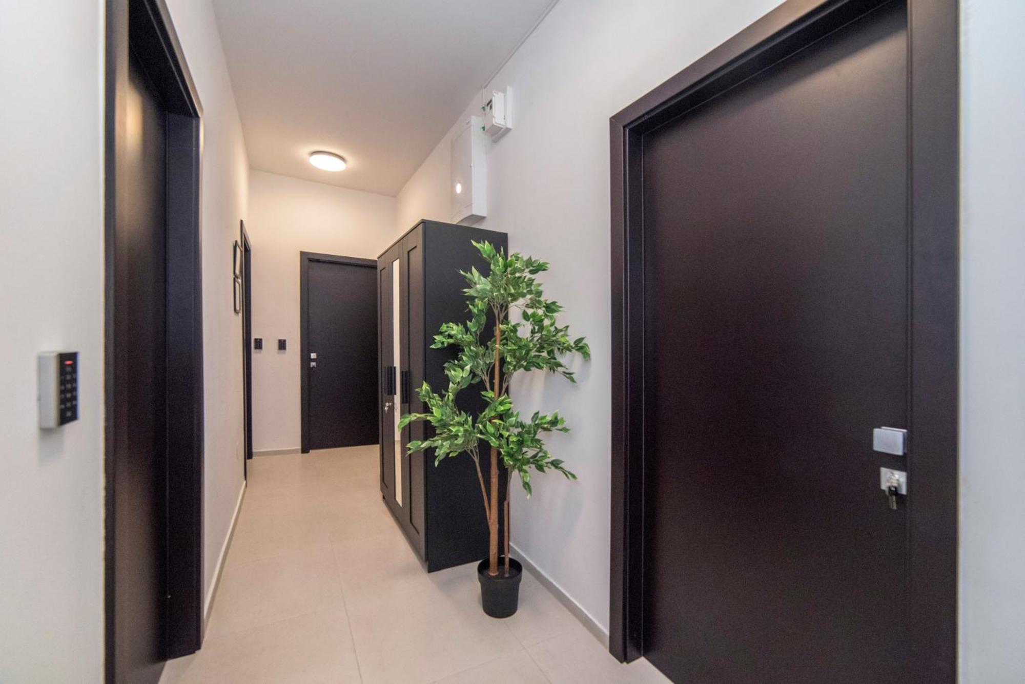 Apartments Bella Mia, 1St Floor Ζάγκρεμπ Εξωτερικό φωτογραφία